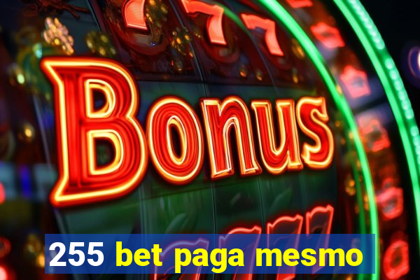 255 bet paga mesmo